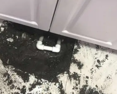 漠河查漏水哪家好